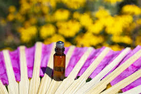 Pain Relief Roll-On (Concentrate)