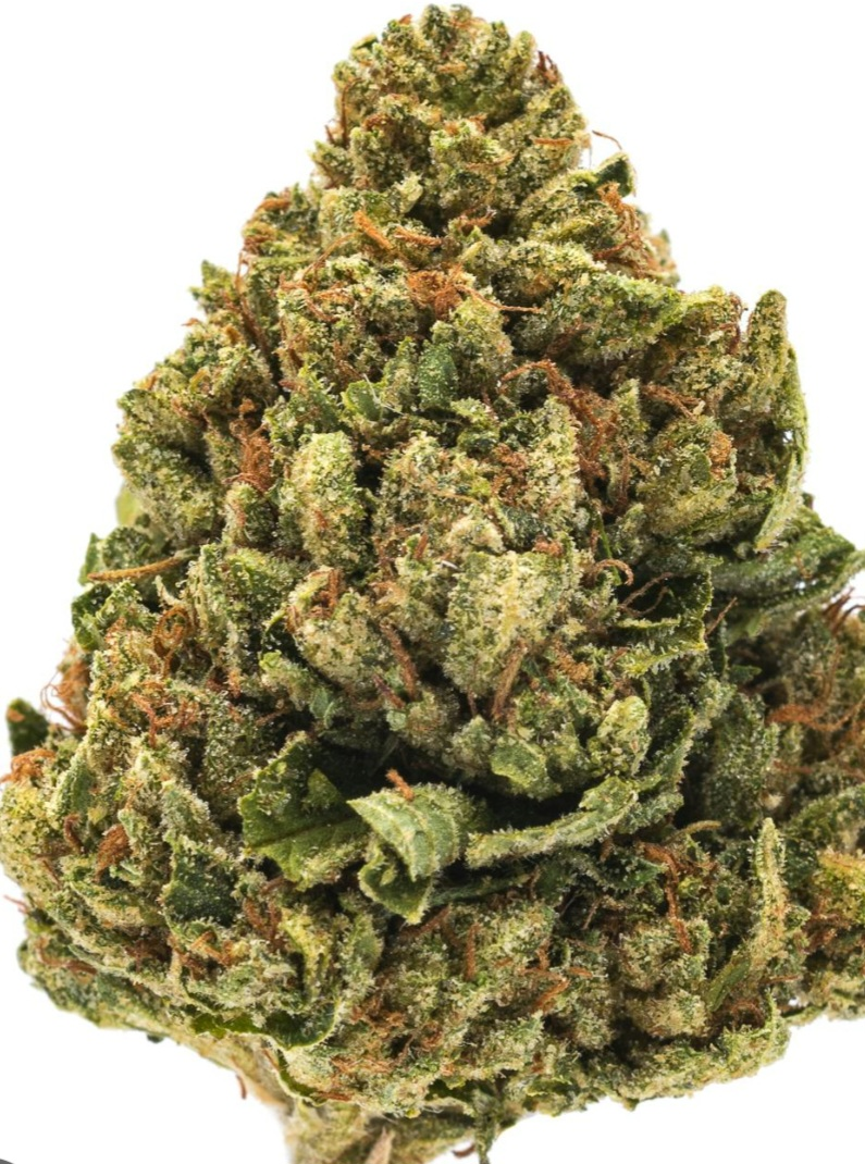 SFV OG (San Fernando Valley OG) by Zizzle – SWEETLIFE (NYC Dispensary)
