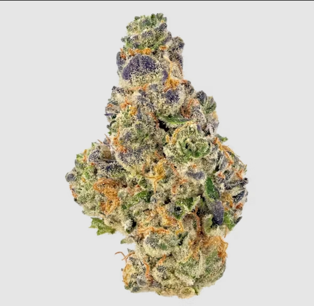 London Jelly by Hybrid Theory – Treehouse (NY Dispensary)