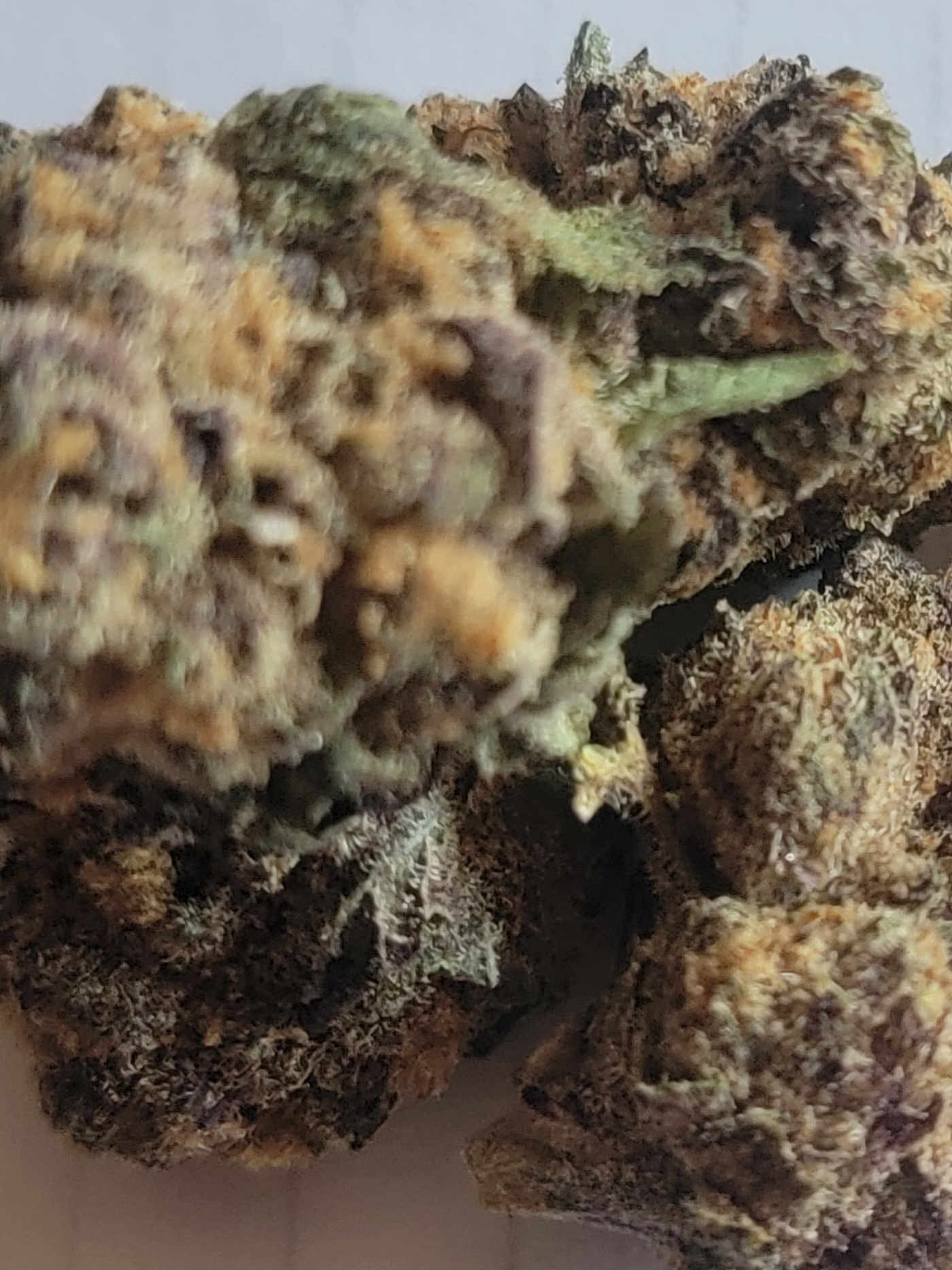OG Kush by Dank.by.Definition – Superfly (NYC Dispensary)