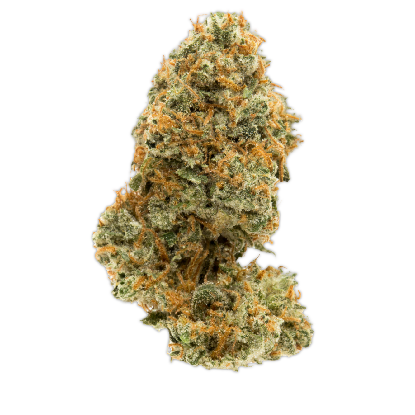 Ghost Train Mimosa by Platinum Reserve – Nicklz (NYC Dispensary)