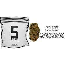 Blue Hawaiian by B5oro Bud – Gotham Buds (NYC Dispensary)