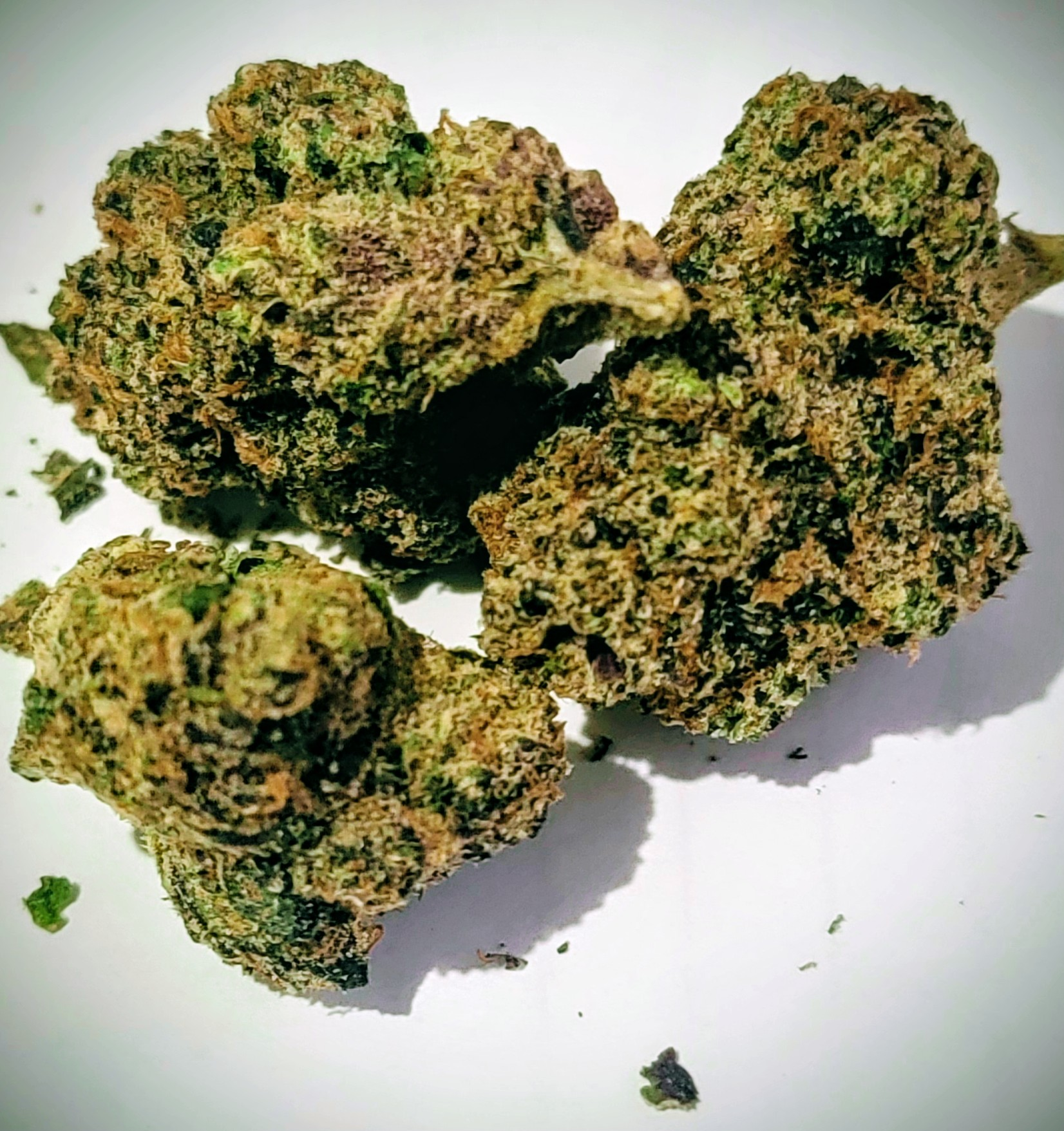 Marsmellow by To The Moon – The Flowery, East Village (NYC Dispensary)