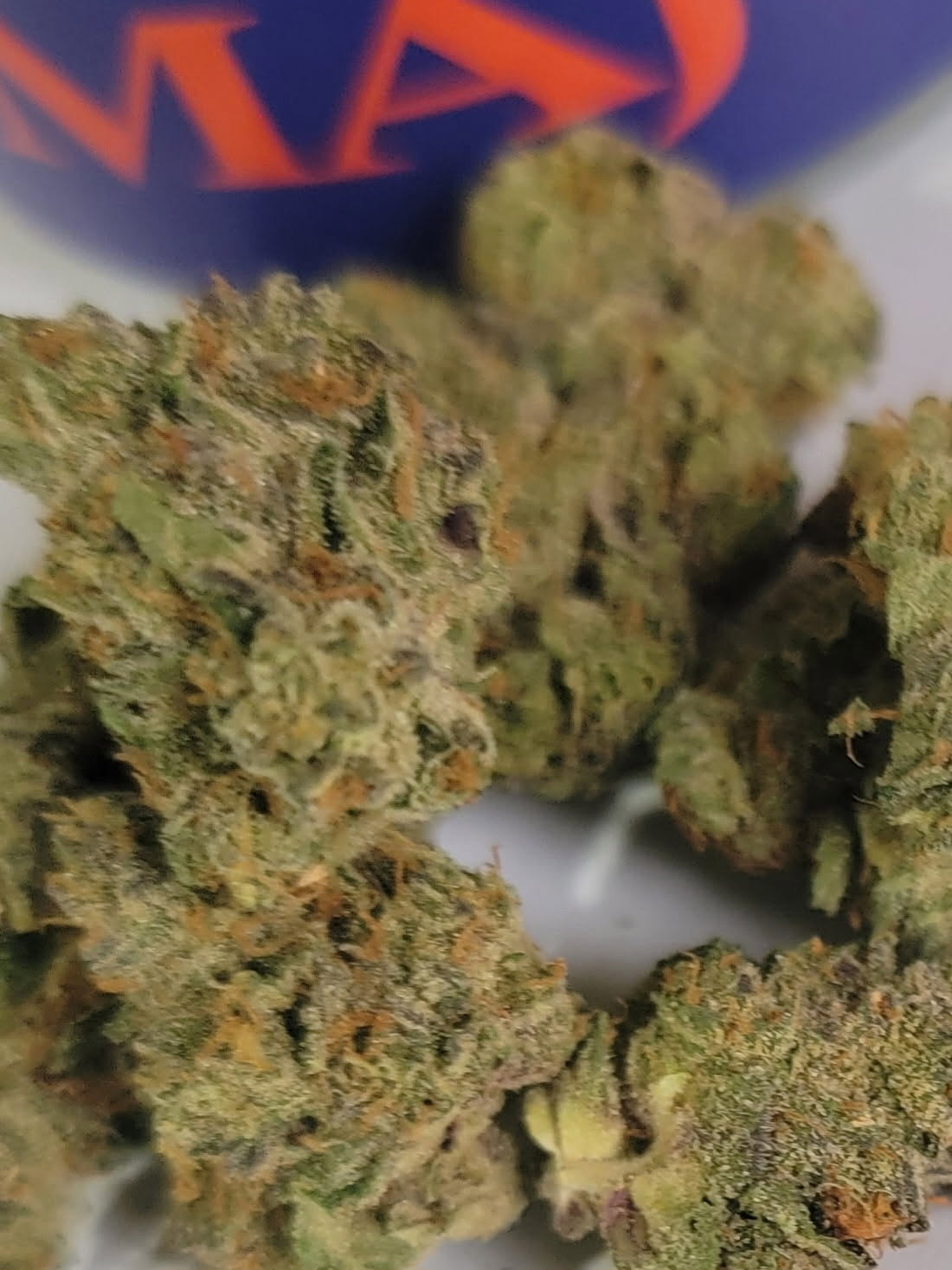 The Rotten Apple by Major – Treehouse Dispensary (Nyack, NY)